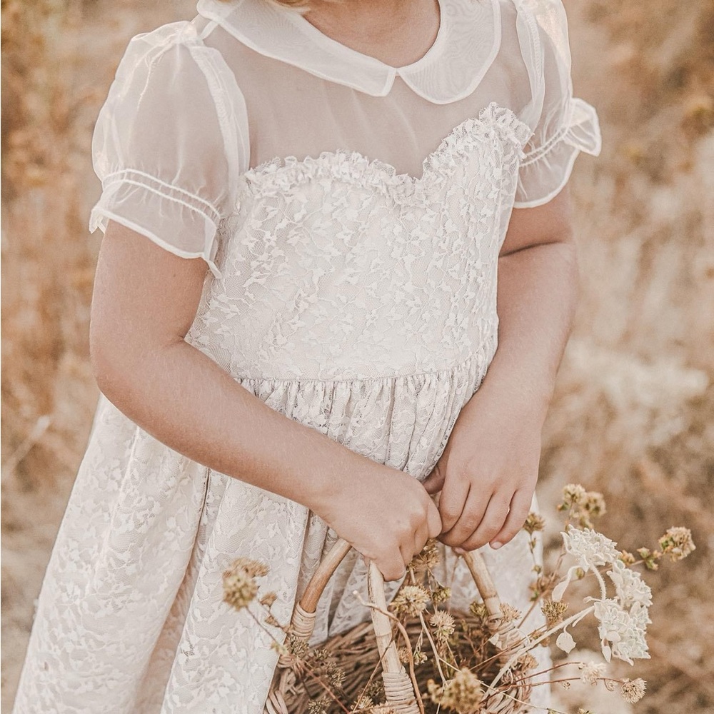 Noralee Gidgette Dress in Shell